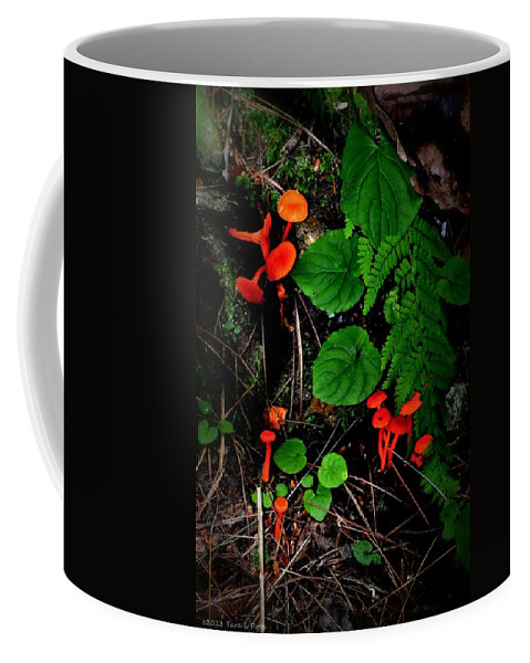 Fern Coffee Mug featuring the photograph Fern and Fungus by Tara Potts
