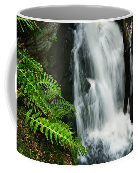 Connecticut Coffee Mug featuring the photograph Waterfall - Fern Gorge of Enders Forest by JG Coleman