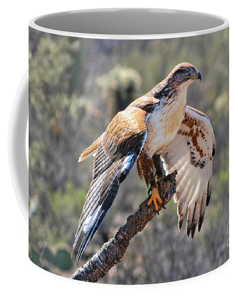 Hawk Coffee Mug featuring the photograph Ferruginous Hawk Perched On Limb by Al Andersen