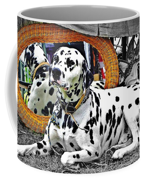 Blair Stuart Coffee Mug featuring the photograph Festival Dog by Blair Stuart