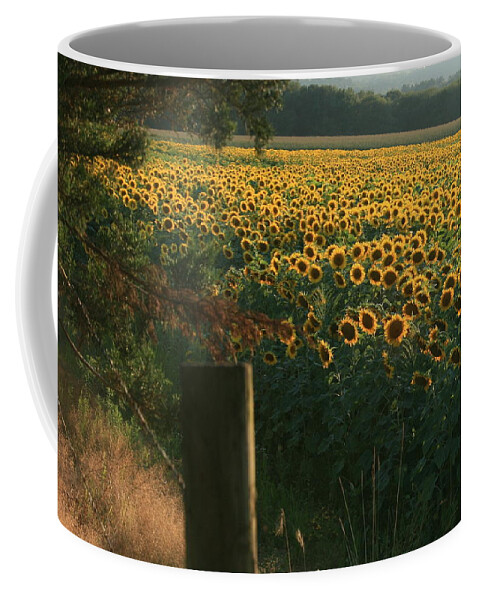 Sunflower Art Coffee Mug featuring the photograph Field Dreams No.2 by Neal Eslinger