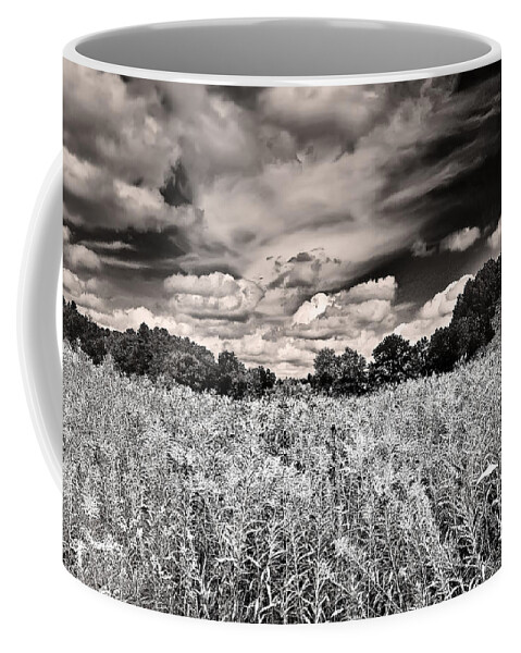 Black And White Coffee Mug featuring the photograph Fields of Gold and Clouds by Mitchell R Grosky