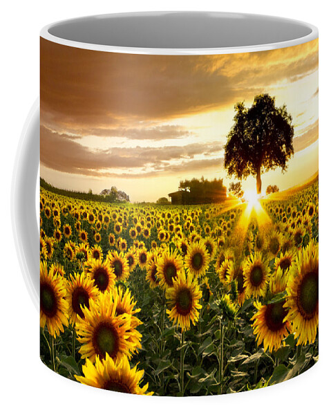 Appalachia Coffee Mug featuring the photograph Fields of Gold by Debra and Dave Vanderlaan