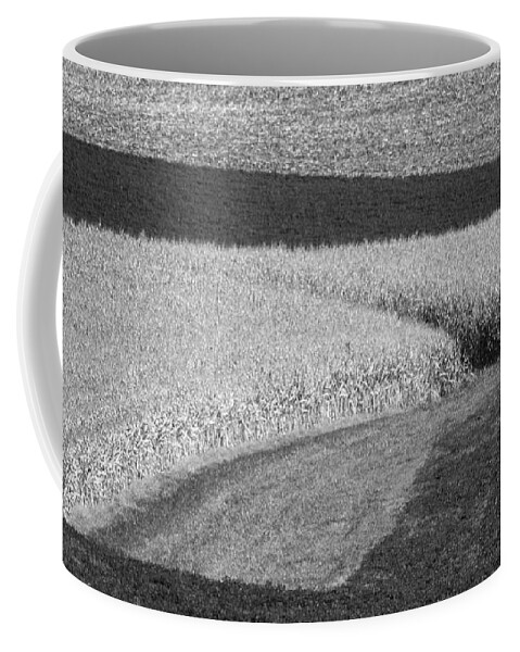Fields Coffee Mug featuring the photograph Corn Fields near Madison, WI by Steven Ralser