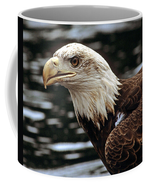 Eagle Coffee Mug featuring the photograph Fierce Bald Eagle by Larry Allan