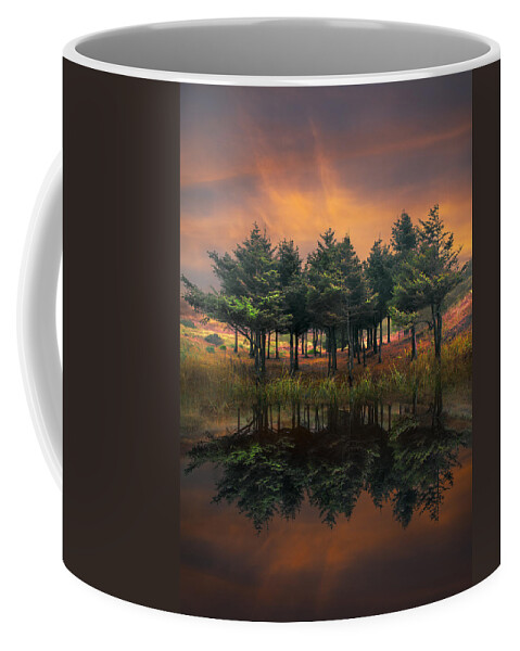 Appalachia Coffee Mug featuring the photograph Fire by Debra and Dave Vanderlaan