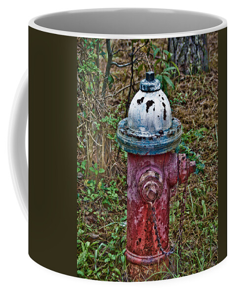 Landscape Coffee Mug featuring the photograph Fire Hydrate by Chauncy Holmes