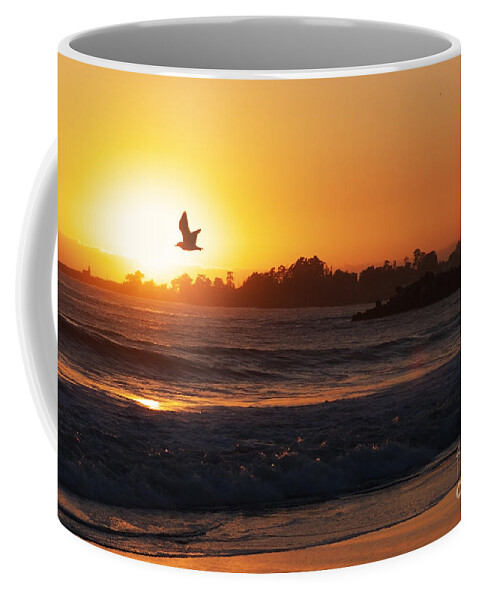 Birds Coffee Mug featuring the photograph Firebird by Paul Topp