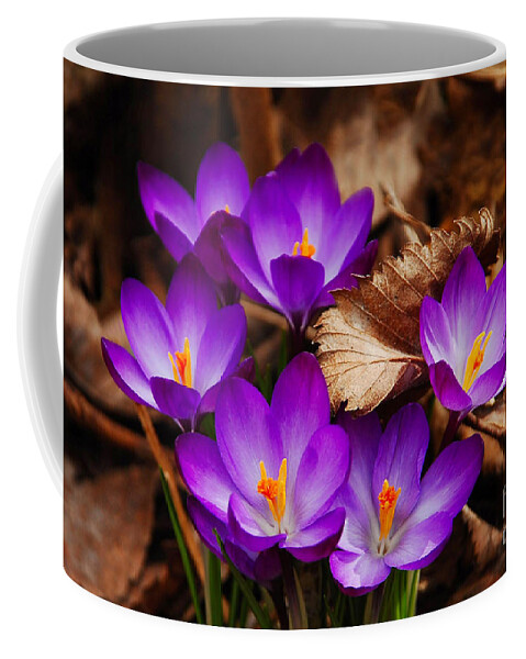 Flower Coffee Mug featuring the photograph First Signs of Spring..... Crocus by Elaine Manley
