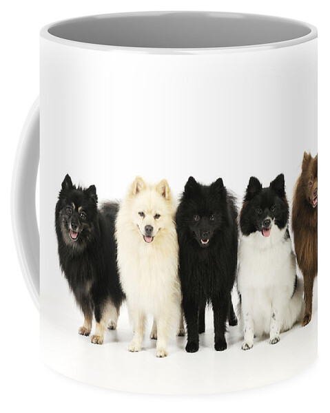 Dog Coffee Mug featuring the photograph Five German Spitzes by John Daniels