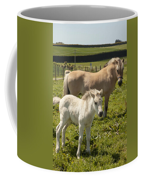 Feb0514 Coffee Mug featuring the photograph Fjord Horse Mare And Foal New Zealand by Colin Monteath