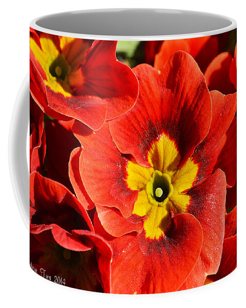 Red Coffee Mug featuring the photograph Flamenco look by Felicia Tica
