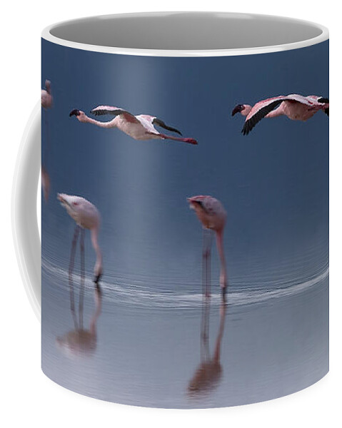 Phoeniconaias Minor Coffee Mug featuring the photograph Flamingos #6596 by J L Woody Wooden