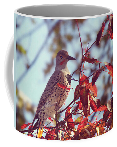 Northern Flicker Coffee Mug featuring the photograph Flicker in Autumn by Melanie Lankford Photography