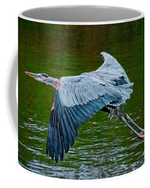 Bird Coffee Mug featuring the photograph Flight by Quinn Sedam