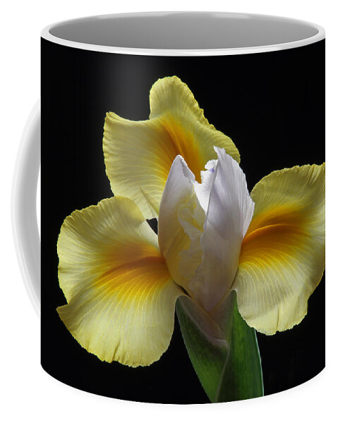 Iris Coffee Mug featuring the photograph Floral Roar by Juergen Roth