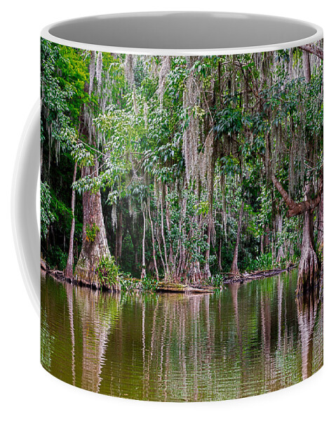 Christopher Holmes Photography Coffee Mug featuring the photograph Florida Naturally 2 by Christopher Holmes