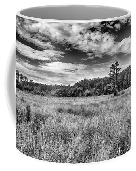 Florida Coffee Mug featuring the photograph Florida SawGrass Prairie  by George Buxbaum