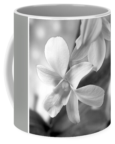 White Orchid Coffee Mug featuring the photograph White Orchid by Mike McGlothlen