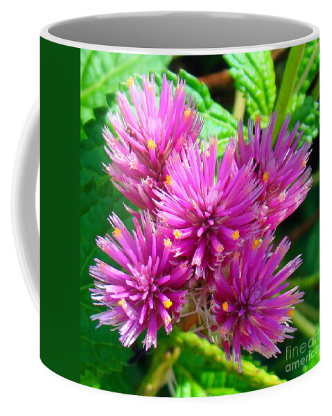 Flower Coffee Mug featuring the photograph Flower 2 by Nancy L Marshall