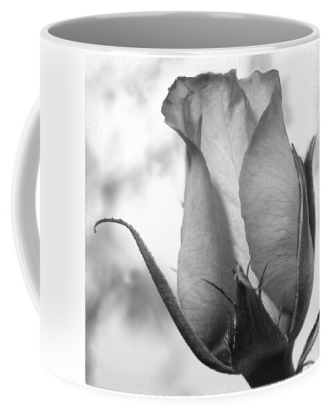 Blooming Rose Coffee Mug featuring the photograph Blooming Rose by Mike McGlothlen
