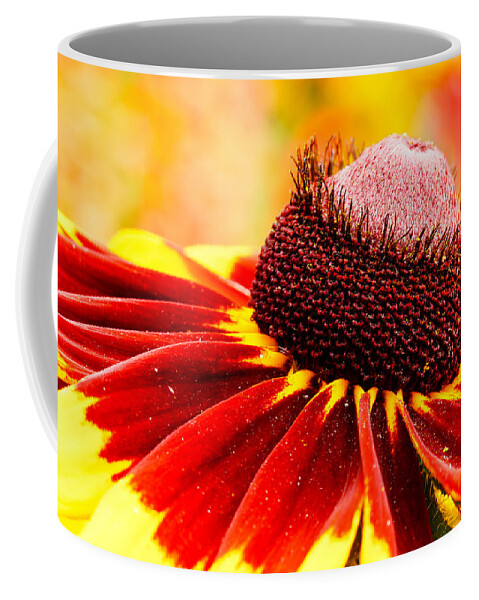 Flower Coffee Mug featuring the photograph Black Eyed Susan Hybrid by Ben Graham
