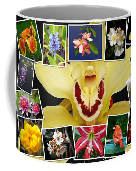 Macro Coffee Mug featuring the photograph Flower Collage by Pete Trenholm
