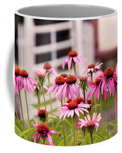 Echinacea Coffee Mug featuring the photograph Flower - Cone Flower - In an English garden by Mike Savad