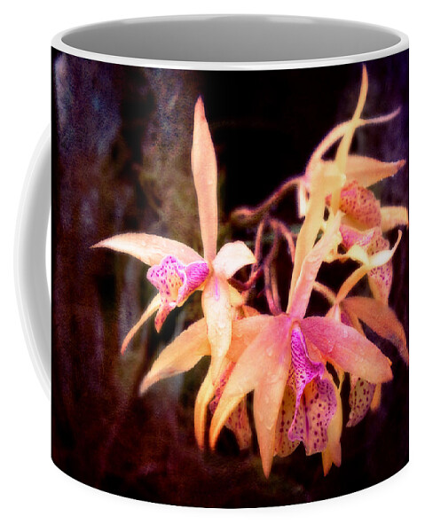 Orange Flower Coffee Mug featuring the photograph Flower - Orchid - Laelia - Midnight Passion by Mike Savad