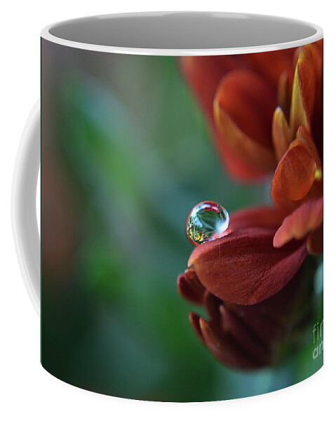 Abstract Coffee Mug featuring the photograph Flower Reflection by Michelle Meenawong