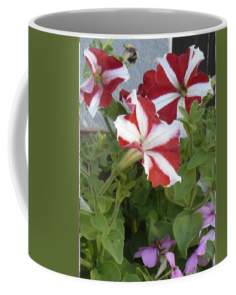 Flowers Coffee Mug featuring the photograph Flower Trios b by Mary Ann Leitch