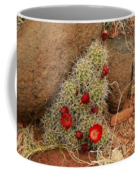 Flowering Coffee Mug featuring the photograph Flowering Cactus Utah by Suzanne Lorenz