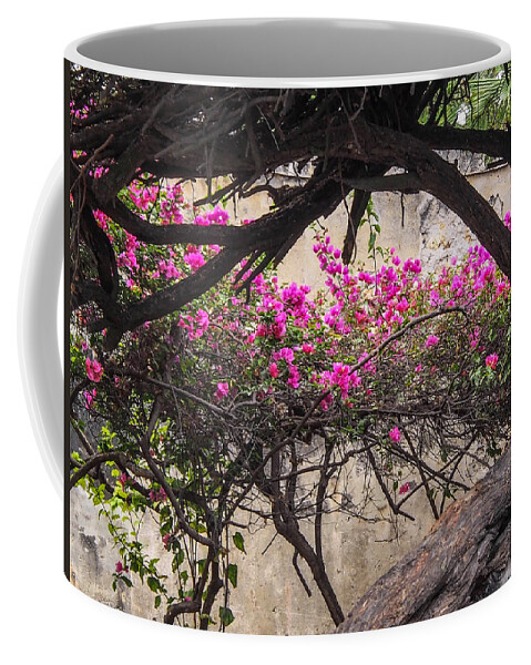 Cartagena Coffee Mug featuring the photograph Flowering Vine On Stone Wall by Karen Zuk Rosenblatt