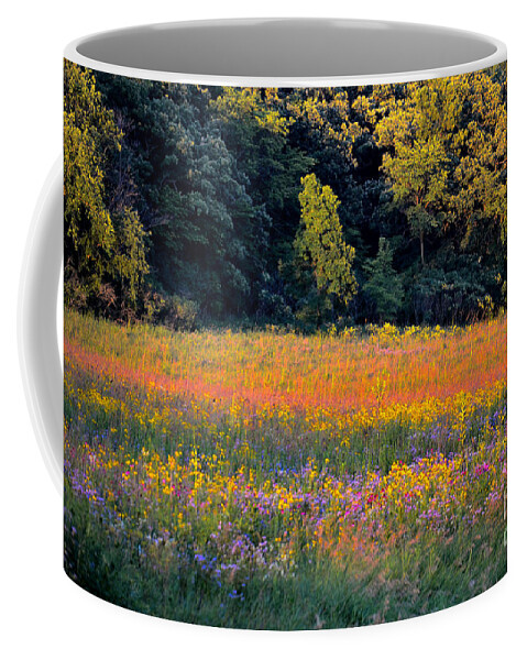 Valley Coffee Mug featuring the photograph Flowers in the Meadow by Deb Halloran