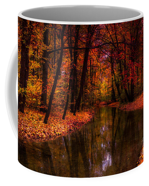 Autumn Coffee Mug featuring the photograph Flowing Through The Colors Of Fall by Hannes Cmarits