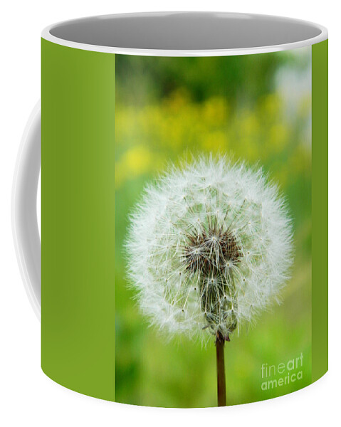 Dandelion Coffee Mug featuring the photograph Fluffy dandelion by Andrea Anderegg