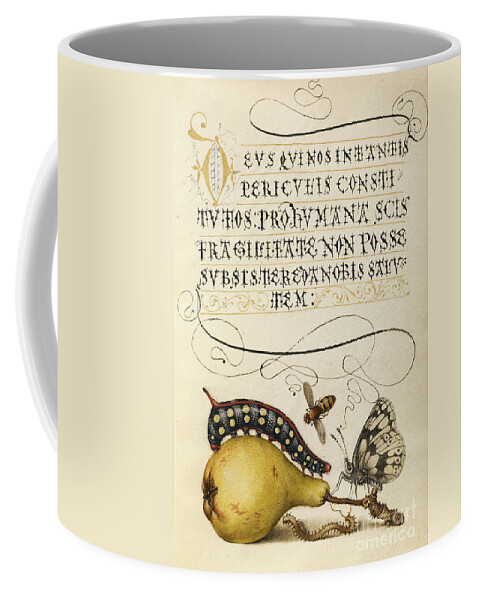 Illustration Coffee Mug featuring the photograph Fly, Caterpillar, Pear, And Centipede by Getty Research Institute