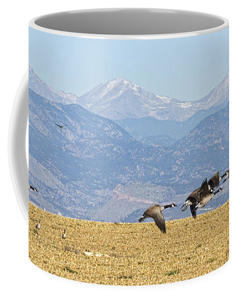 Cackling Goose Coffee Mug featuring the photograph Flying Canadian Geese Rocky Mountains Panorama 2 by James BO Insogna