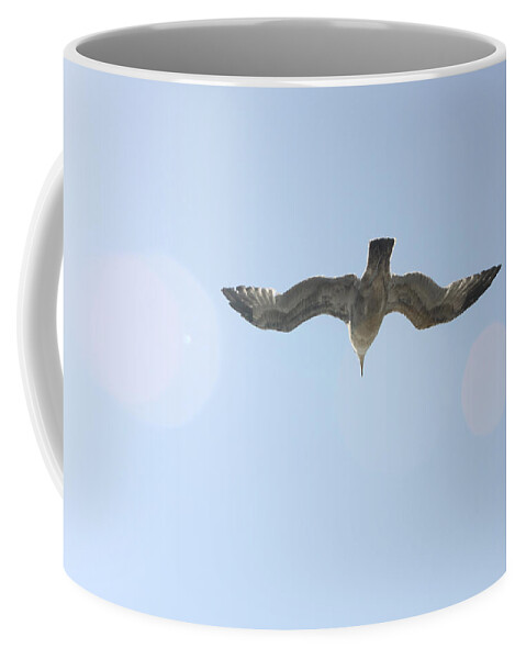 Flying Coffee Mug featuring the photograph Flying Free by Diana Haronis