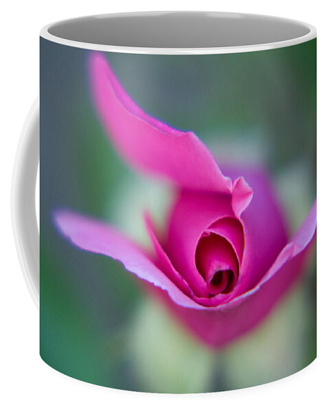 Pink Coffee Mug featuring the photograph Flying Rose by Lisa Chorny