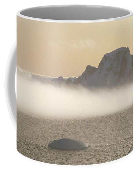 Feb0514 Coffee Mug featuring the photograph Fog Bank And Icy Mountains Gerlache by Tui De Roy