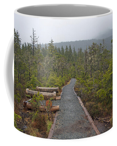 Rainforest Coffee Mug featuring the photograph Fog on the Trail by Cathy Mahnke
