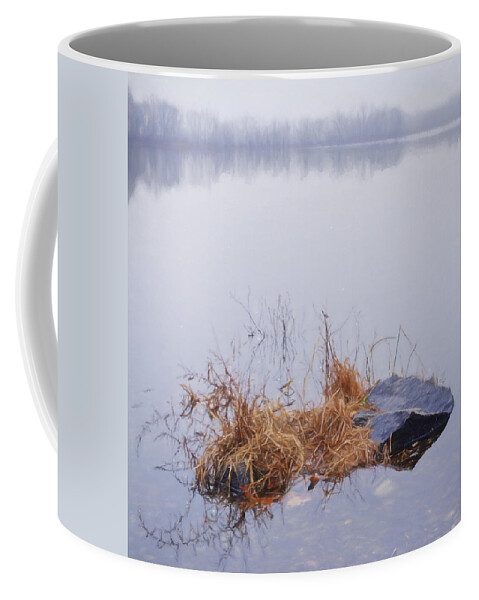Pond Coffee Mug featuring the mixed media Foggy Day at the Pond by Jean-Pierre Ducondi