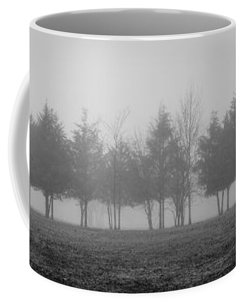 Fog Coffee Mug featuring the photograph Foggy Day by Cheryl McClure