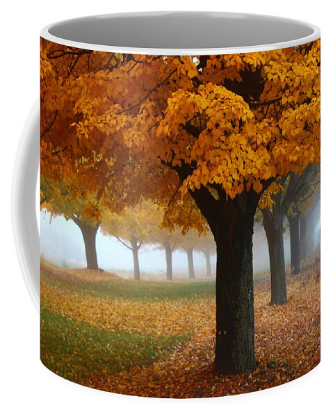 Fog Coffee Mug featuring the photograph Foggy Fall Morning by Lynn Hopwood