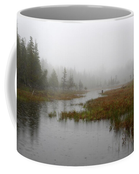 Marsh Coffee Mug featuring the photograph Foggy Marsh near Jordan Pond by Juergen Roth