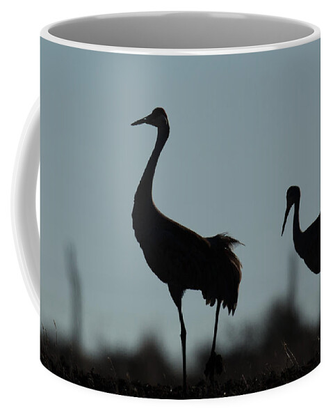 Cranes Coffee Mug featuring the photograph Follow by Kevin Dietrich