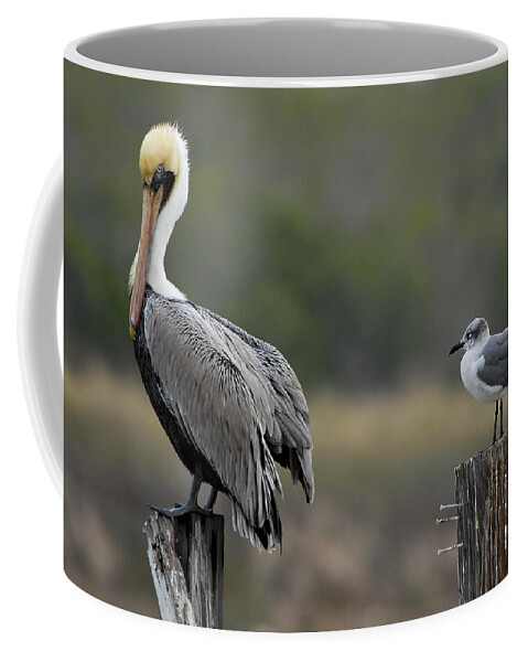 Pelican Coffee Mug featuring the photograph Follow Me by Carol Erikson