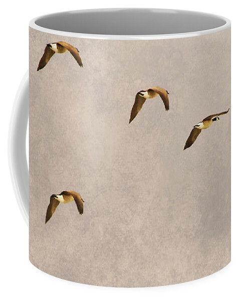 Canada Geese Coffee Mug featuring the photograph Follow the Leader by James BO Insogna