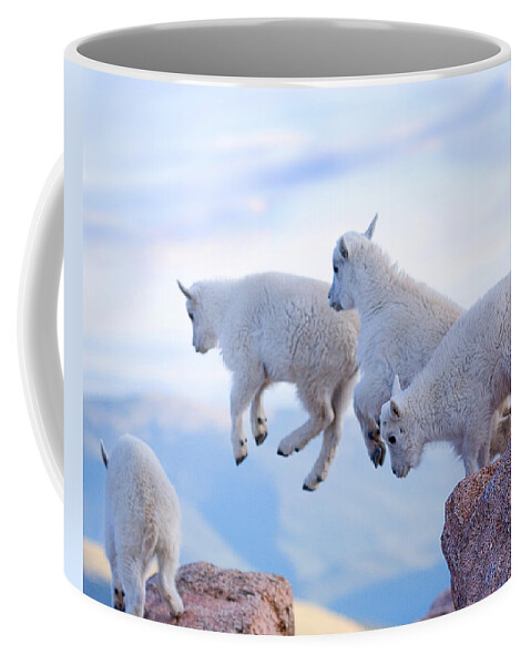 Mountain Goats; Posing; Group Photo; Baby Goat; Nature; Colorado; Crowd; Baby Goat; Mountain Goat Baby; Happy; Joy; Nature; Brothers Coffee Mug featuring the photograph Follow the Leader by Jim Garrison